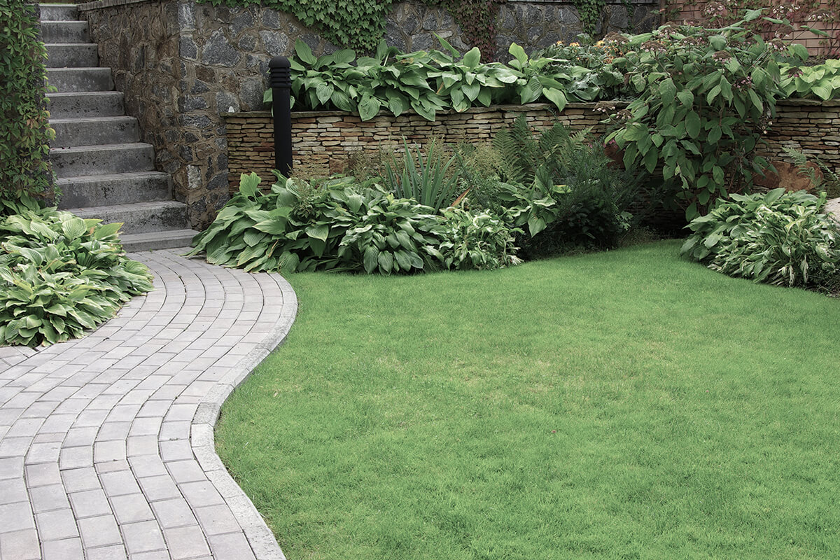 Welcome to Fairway Landscaping